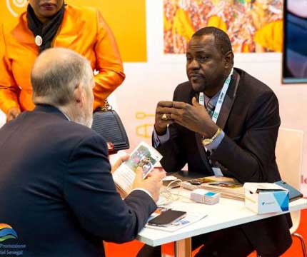 Majestueux baobab du Sénégal, symbole de notre expertise locale