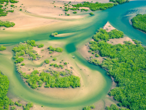 Saloum-Delta